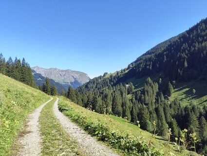 Foto von M entlang der Tour