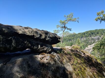 Fotó a nordbergschnecke honlapról a túra során