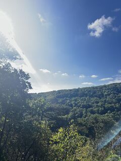 Фото с сайта Marlene Hronicek во время экскурсии