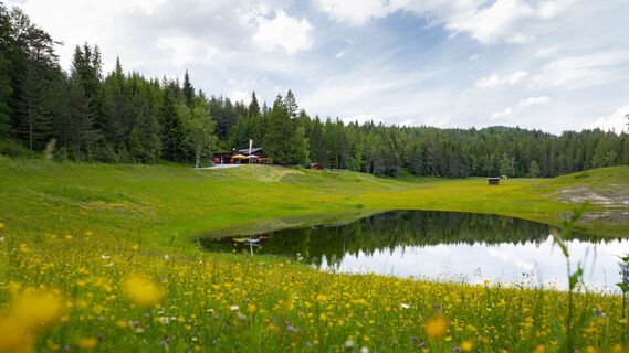 Lottensee im Frühsommer - Lottenseehütte mit See und Blumen im Vordergrund (1).jpg