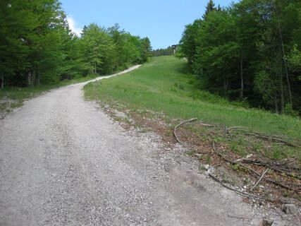 Aufstieg zur Gschwend Hütte