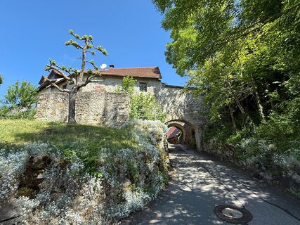 Foto de Norbert Herbig a lo largo del recorrido