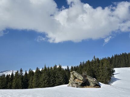 Photo de MRDL le long du parcours