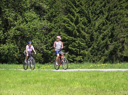 Auf dem Teilabschnitt des R5-Mürztal Radweg