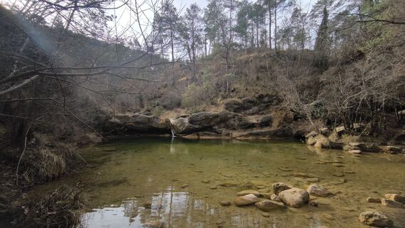 Fotografie z Car Los na trase