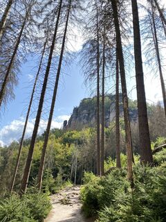 Fotografia z Marc Claessen na trase