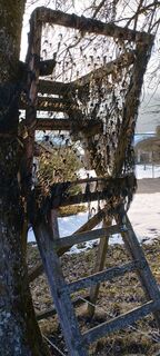 Fotografia z Frieda Schatz na trase