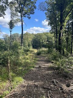 Zdjęcie z Car Wanderfreude wzdłuż trasy