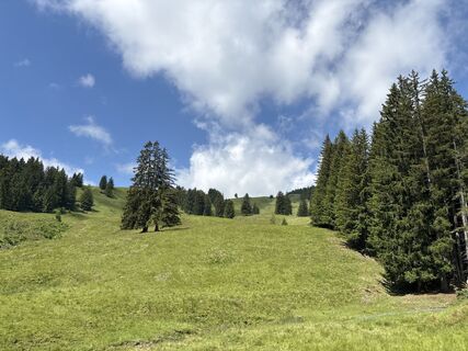 Fotografija s spletne strani Heinz Sperl na poti