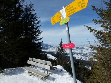 Schneeschuhtrail Schwarzenbühl-Panoramatrail