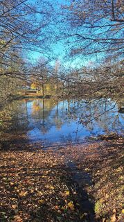 Fotografia z Günter Stelzmüller na trase
