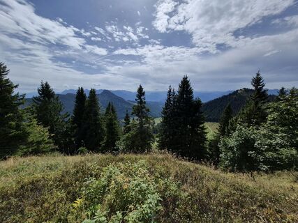 Fotografija s spletne strani Wollomator na poti