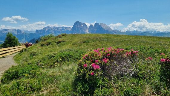 Foto von Astrid Bühler entlang der Tour