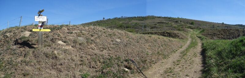 Beginn Aufstieg auf den Heiligenstein