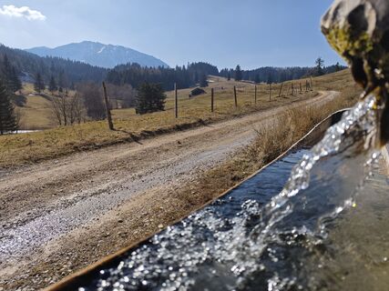 Fotografija s spletne strani Bergpirat na poti