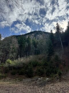 Foto de Denise Miller a lo largo del recorrido