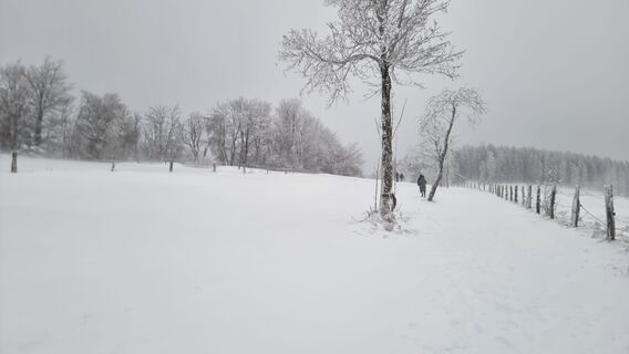Fotografie z Jonas Hork na trase