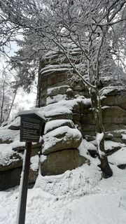 Photo de Ehammann le long du parcours