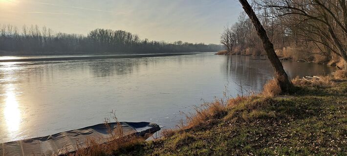 beim Donaualtarm