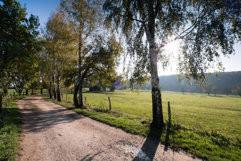 Teutoburger Wald / Detmold / Kupferberg