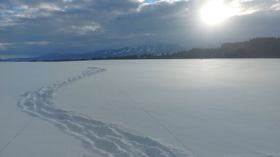 Foto de Knixx Box a lo largo del recorrido