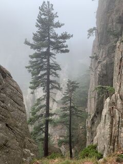 Fotografia z Jako Koel na trase