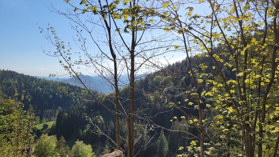 Foto von Juliane entlang der Tour