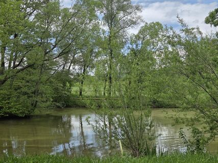 Fotografija s spletne strani Birgit Zückert na poti