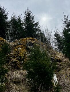 Fotografija s spletne strani Schabsi na poti