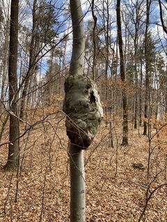 Fotografia z Volker Schäfer na trase