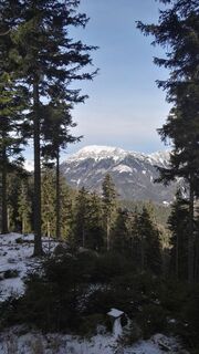 Durchblick gegen die Heukuppe vom Weg zum Trattenkogel