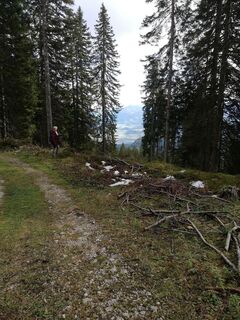 Foto von Hanni2105 entlang der Tour