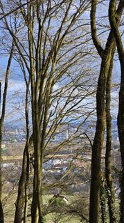 Foto de Andrea Butzerin a lo largo del recorrido