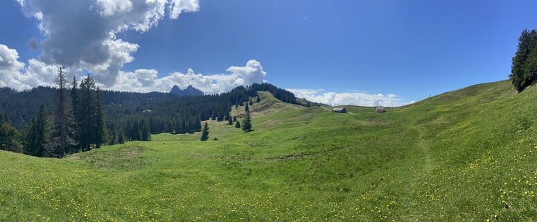 Fotografie z Richard Bronold na trase
