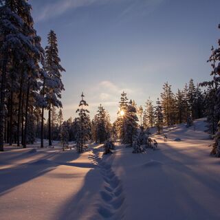 Winterlandschaft in Ruka-Kuusamo, Lappland, Finnland