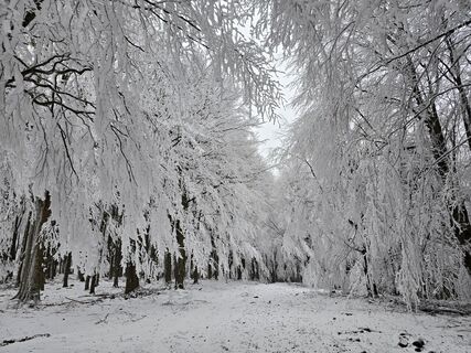 Zdjęcie z Géza Kováts wzdłuż trasy