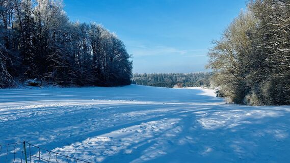 Photo de Diva63 le long du parcours