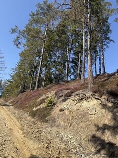 Foto von Chris G van W entlang der Tour