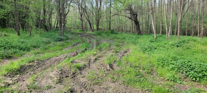Zdjęcie z Zoltan Gregor wzdłuż trasy