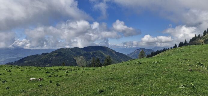 Fotografia z Jürgen Koinegg 1 na trase