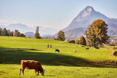 2018_10_12_WOM_Kaiserradrunde_Kufstein_Kaiserwinkl_0048_(c) WOM Medien GmbH_Stefan Schopf_komp.jpg