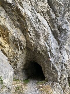 Photo de Waltraud Hollauf le long du parcours