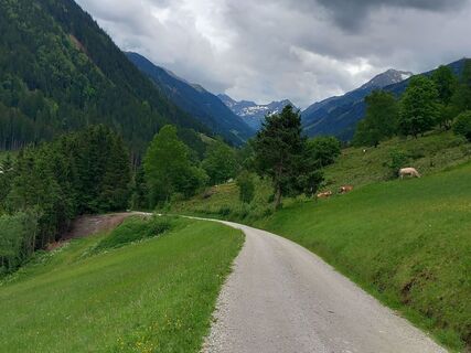 Panoramaweg Fleiß 7 (c) Anita Egger.jpg
