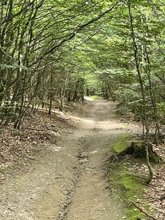 Foto von Leen Duytschaevers entlang der Tour