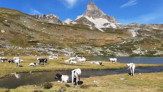 Lago Lavoir