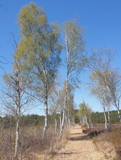 Zdjęcie z Ingeborg Maislinger wzdłuż trasy