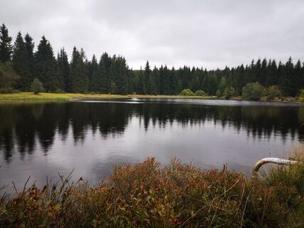 Foto von Denis Trapp 1 entlang der Tour