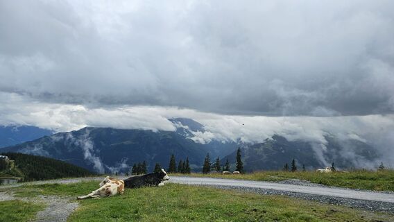 Photo de Gundega Muceniece le long du parcours