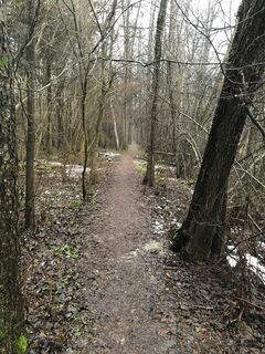 Weg durch die Natur
