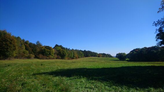 Photo de Betzenbergfex le long du parcours
